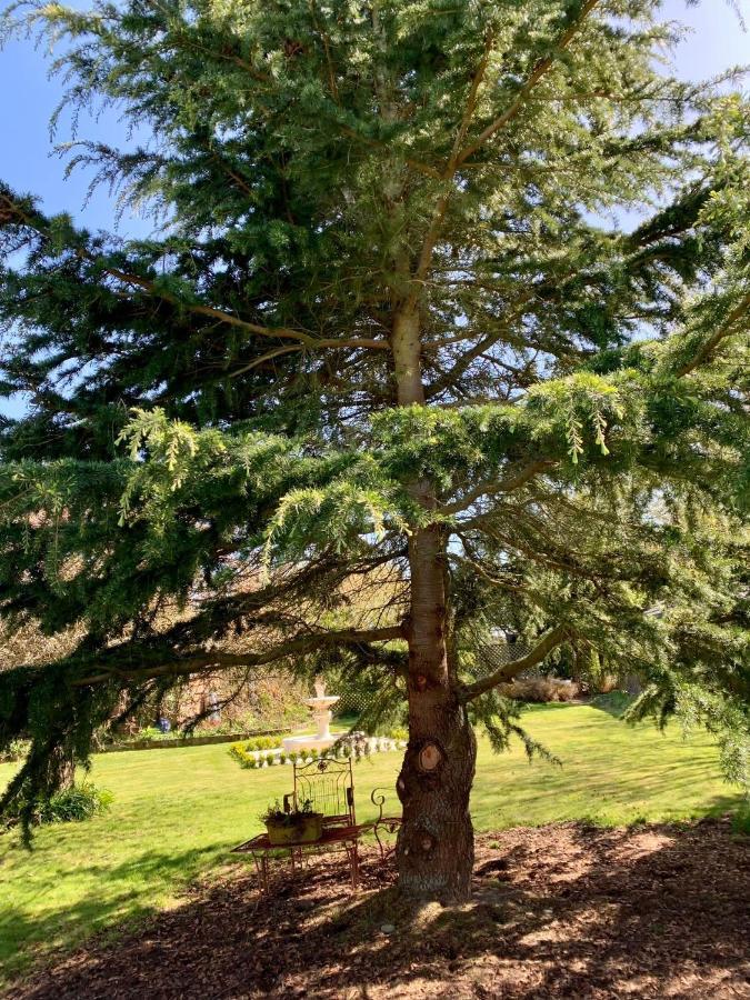 Newlands Bed And Breakfast West Melton エクステリア 写真